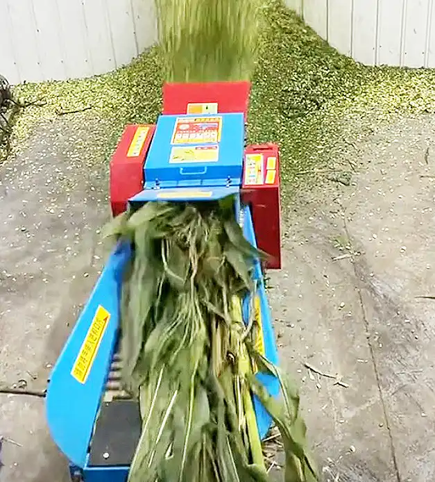 Chaff Cutter Grinder Machine