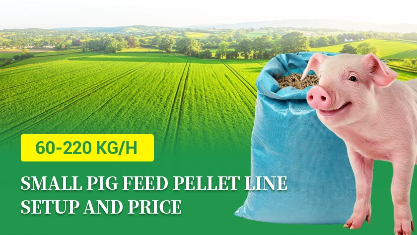 60-220 kg/h Small Pig Feed Pellet Line Setup and Price