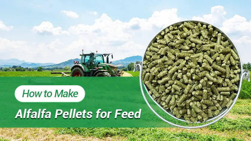 How to Make Alfalfa Pellets for Feed