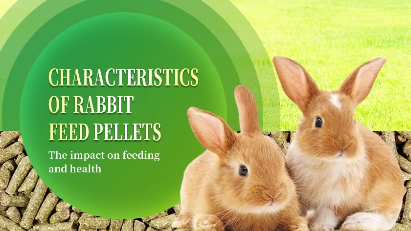 Effects of Rabbit Feed Pellet Characteristics on Feeding and Health