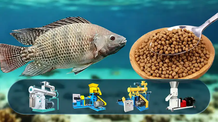 How to Choose the Right Fish Feed Making Machine