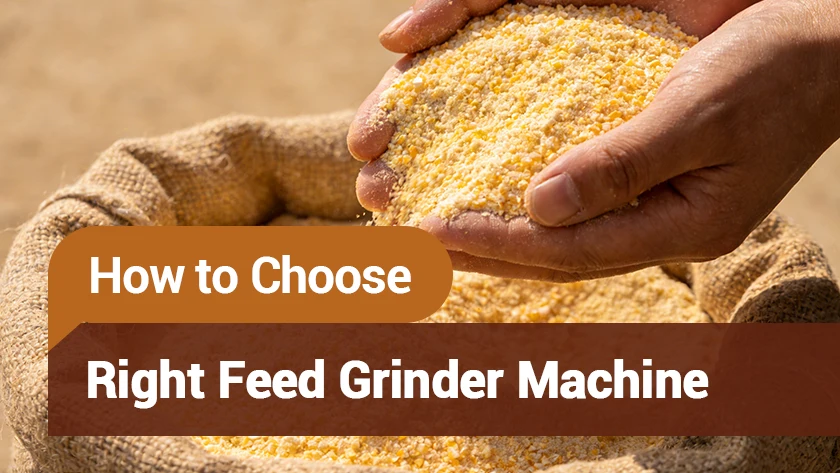 How to Choose the Right Feed Grinder Machine