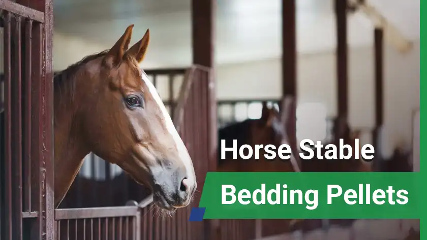 Horse Bedding Pellets: Less Dust, High Absorption, Low Cost