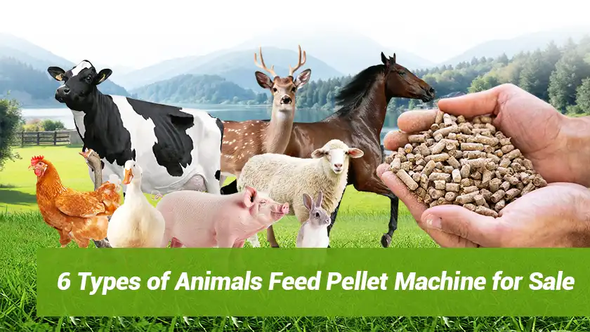 6 Types of Animals Feed Pellet Machine for Sale