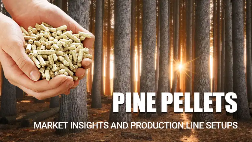 Pine Pellets Market Insights and Production Line Setups