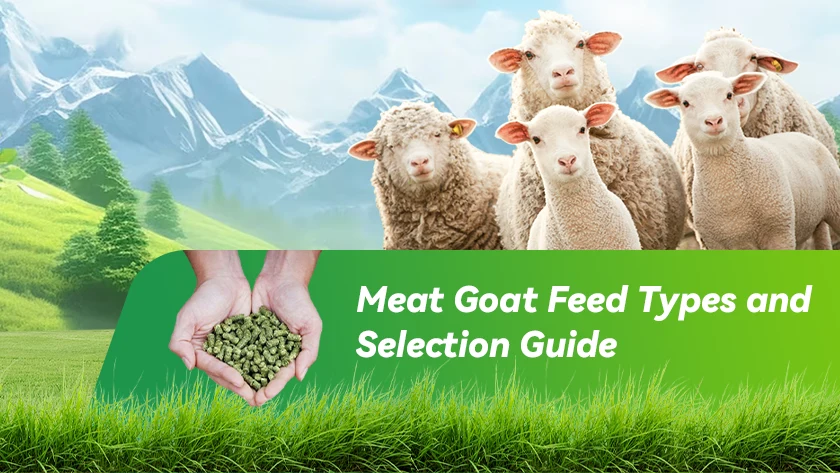 Meat Goat Feed Types and Selection Guide