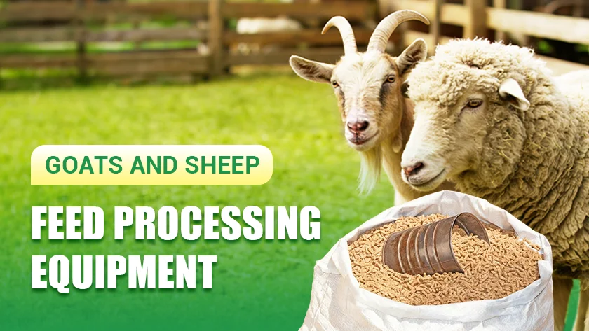 Goat and Sheep Feed Processing Equipment Recommendations