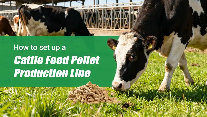 How to Set Up a Cattle Feed Pellet Production Line