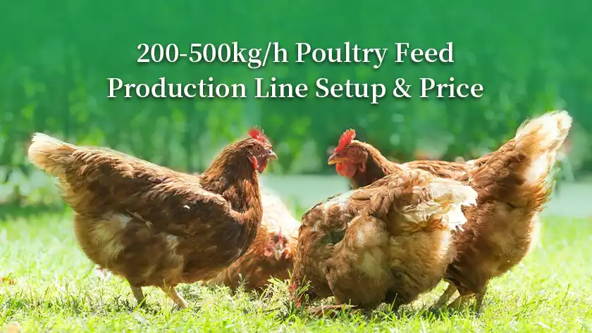 200-500kg/h Poultry Feed Production Line Setup & Price