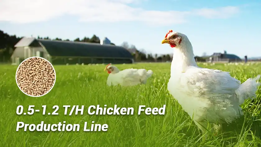 0.5 - 1.2 T/H Complete Poultry Feed Line Setup