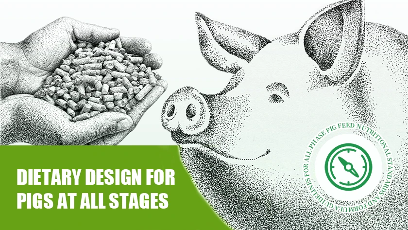 Swine Nutrition Requirements and Feed Formulation Standards