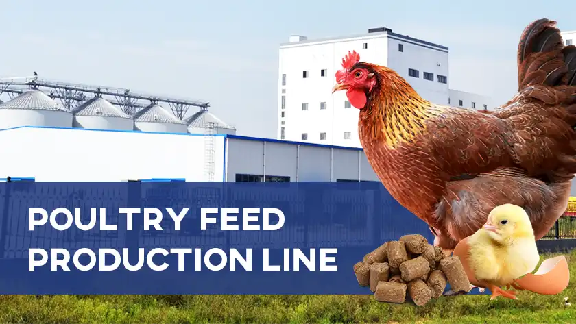 5 Poultry Feed Production Line Solutions