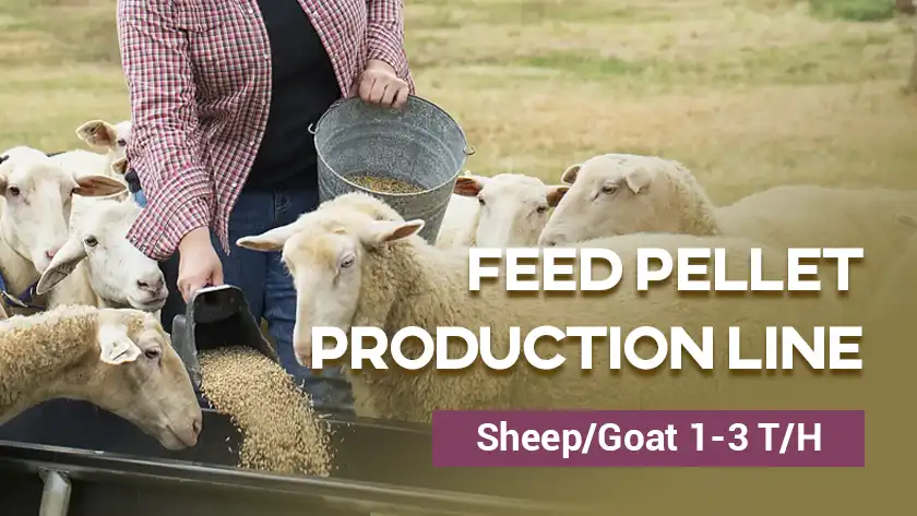 Sheep/Goat 1-3 T/H Feed Pellet Production Line