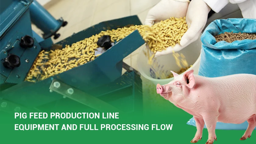 Pig Feed Production Line Equipment and Full Processing Flow