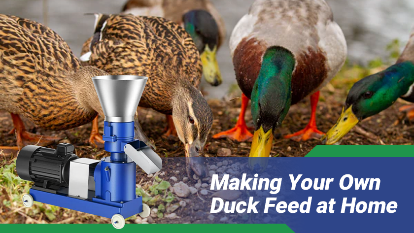 How to Make Duck Feed Pellets at Home