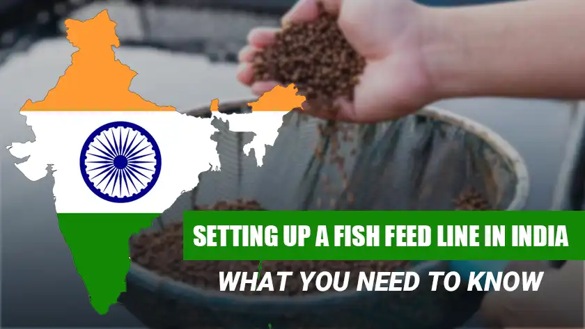Setting Up a Fish Feed Line in India: What You Need to Know