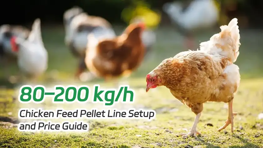 80–200 kg/h Chicken Feed Pellet Line Setup and Price