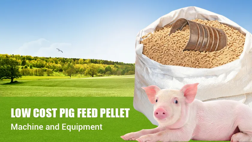 Low Cost Pig Feed Pellet Machine and Equipment Prices