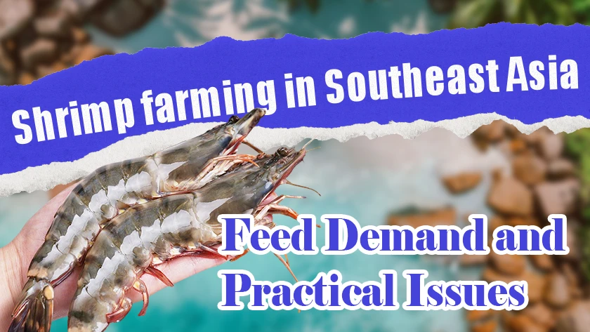 Shrimp Feed Cost and Stability Challenges in Southeast Asia