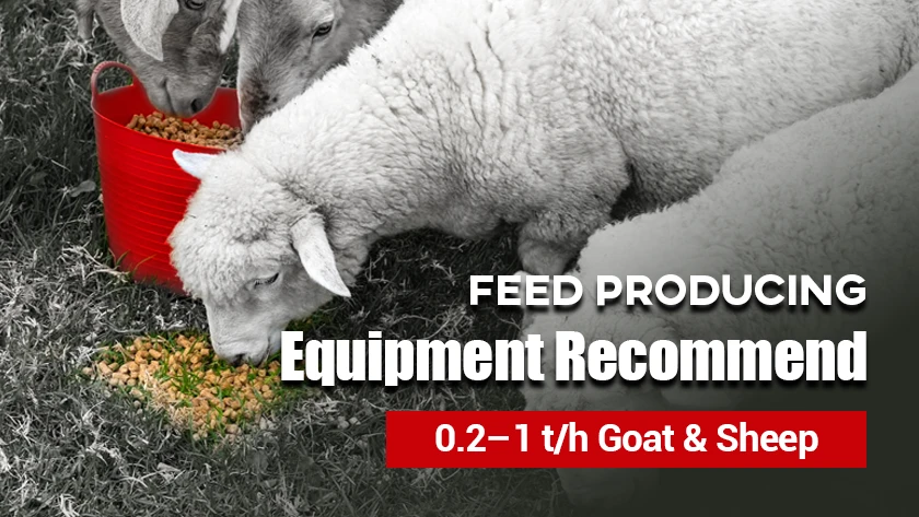 0.2–1 t/h Goat & Sheep Feed making Equipment Recommend