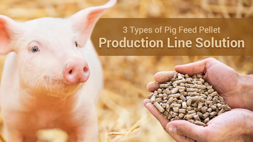3 Types of Pig Feed Pellet Production Line Solution
