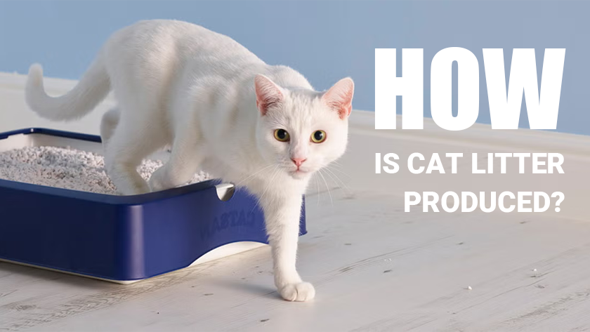 Make Biodegradable Cat Litter: Process & Equipment List