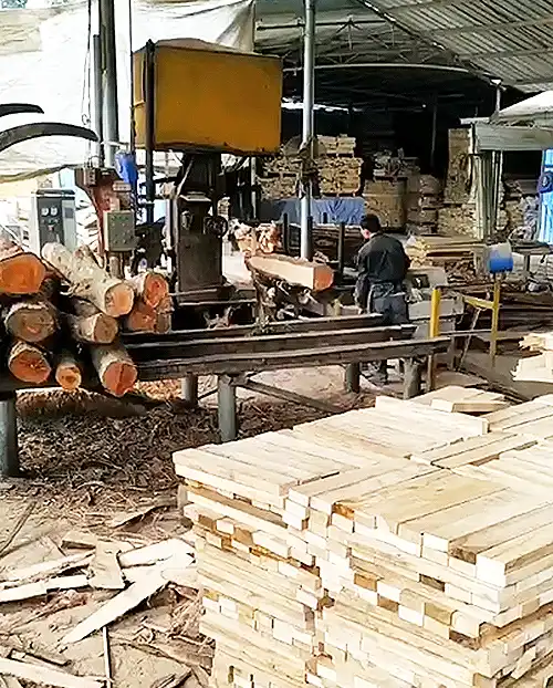 Vietnam Wood Waste Pellet Project