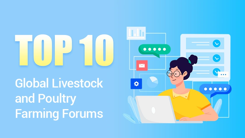 Top 10 Global Livestock and Poultry Farming Forums