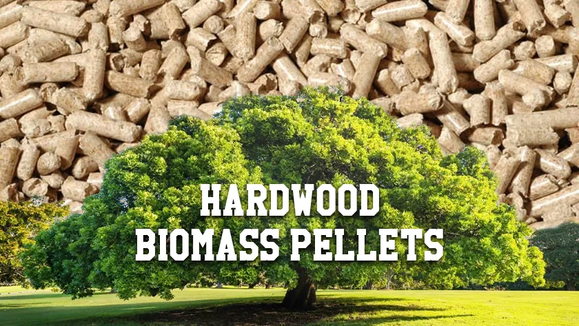 Hardwood Biomass Pellets: Materials, Properties, and Uses