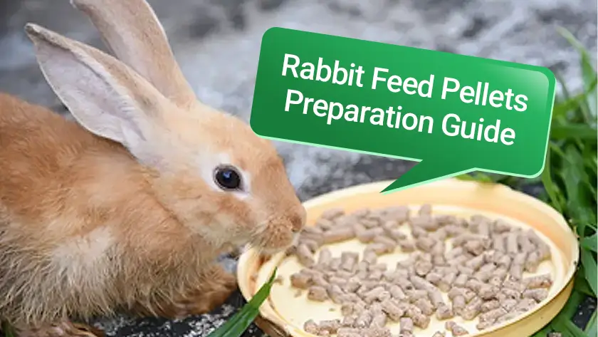 How to Make Nutritious and Cost-Effective Rabbit Pellets