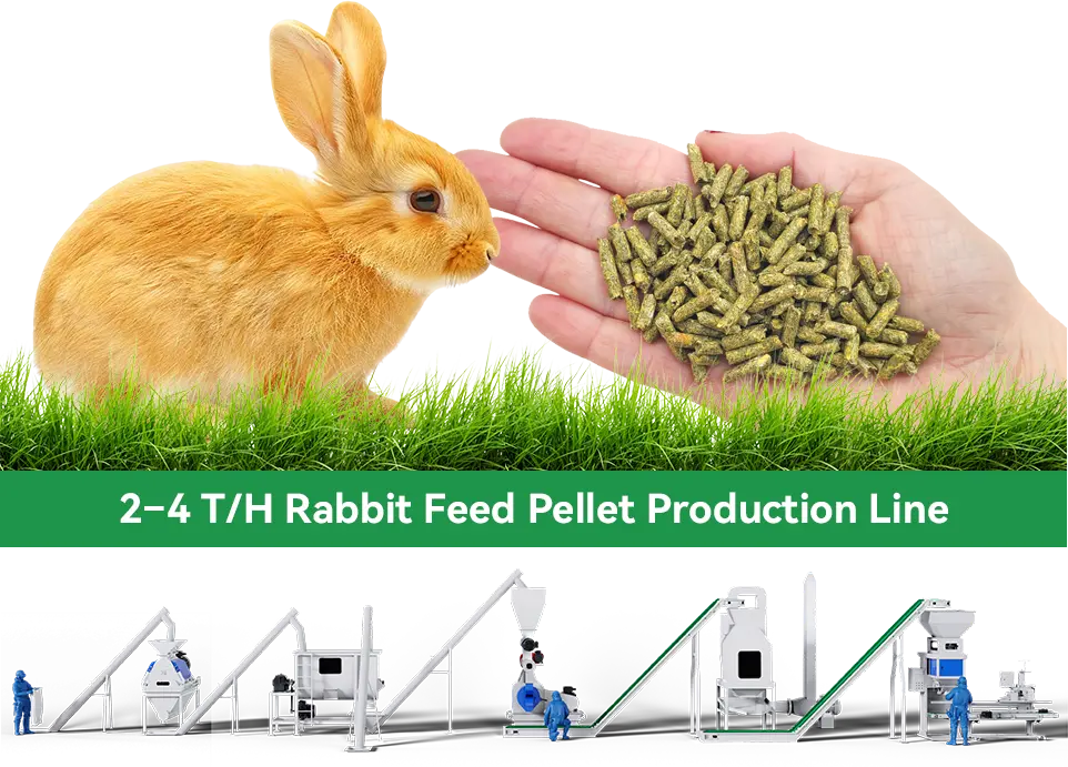 2–4 T/H Rabbit Feed Pellet Production Line
