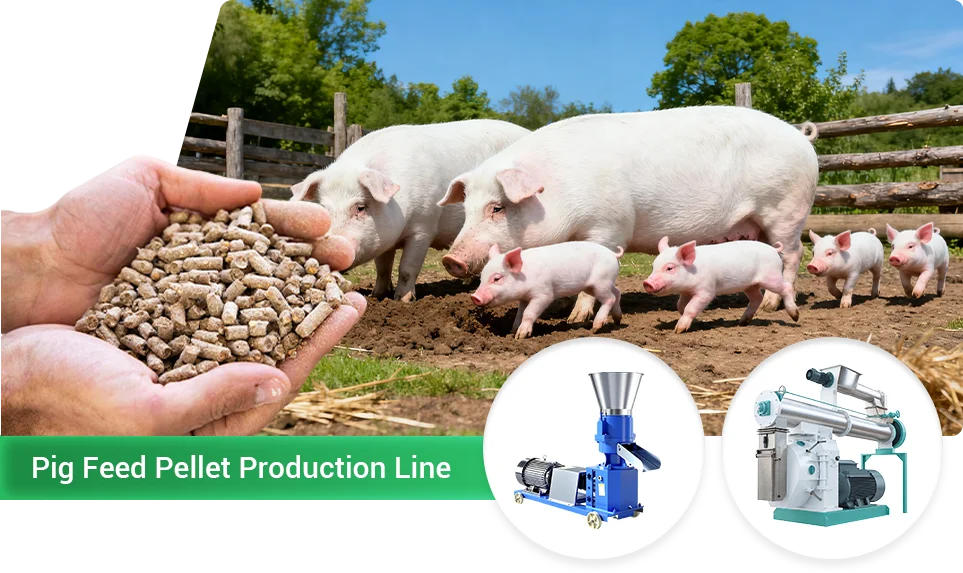 3 types of pig pellet feed production line