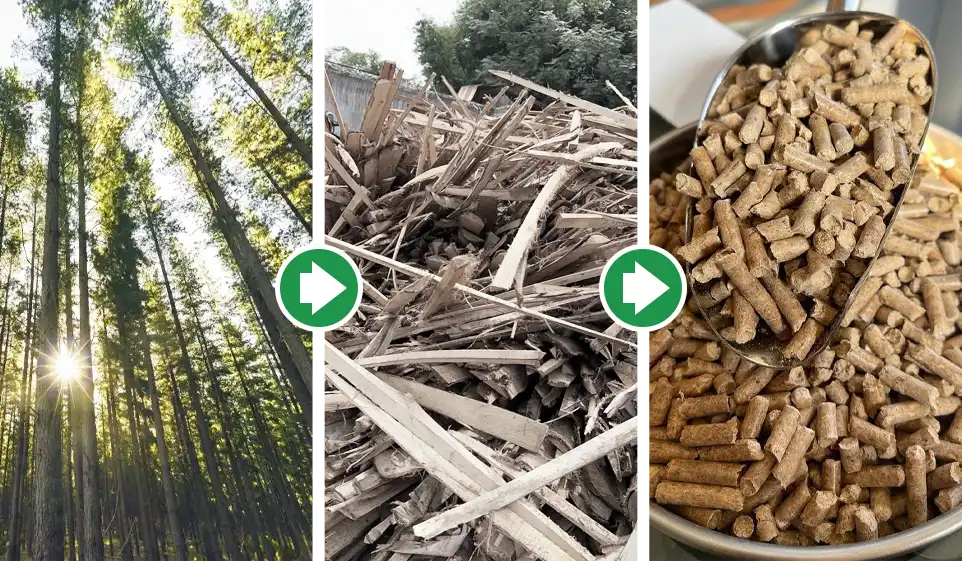 abundant raw material