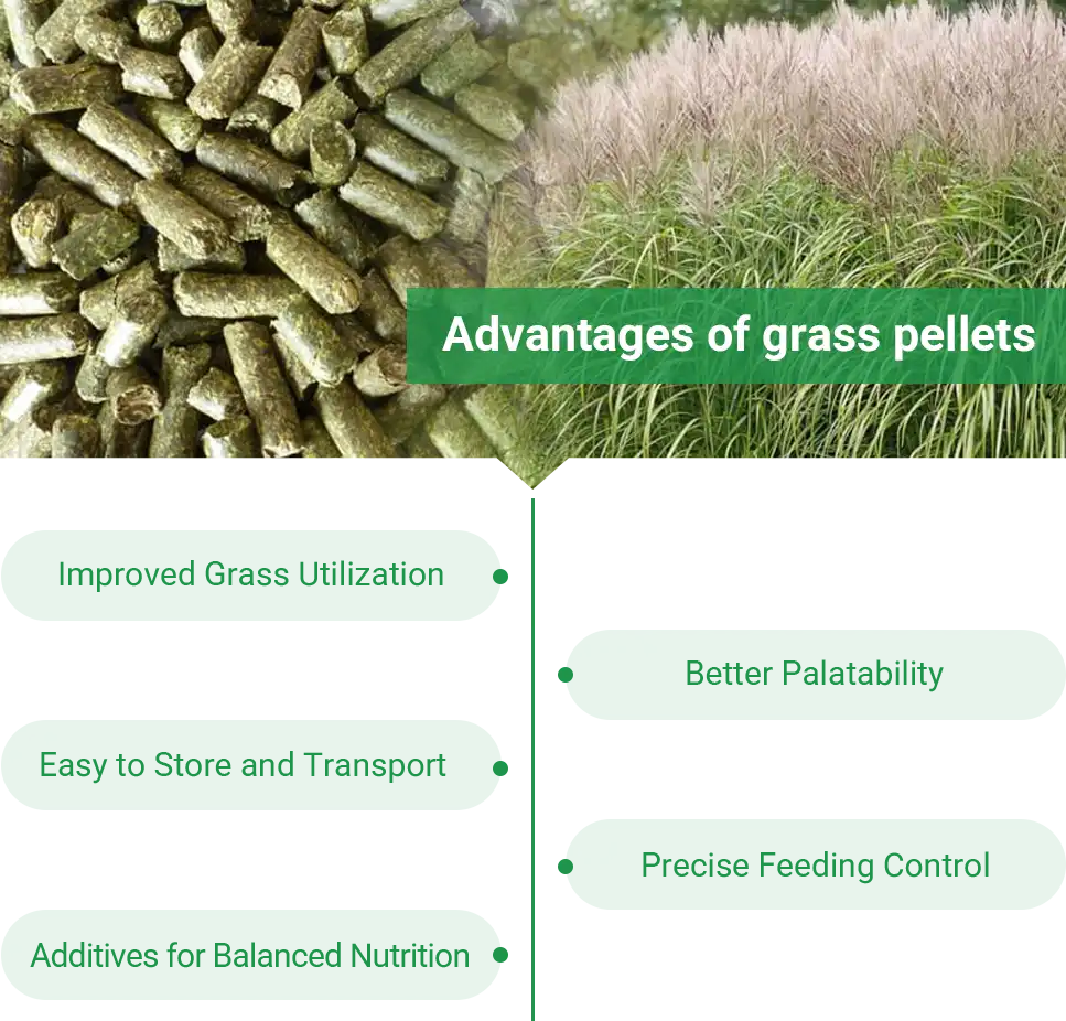 advantages of grass pellets
