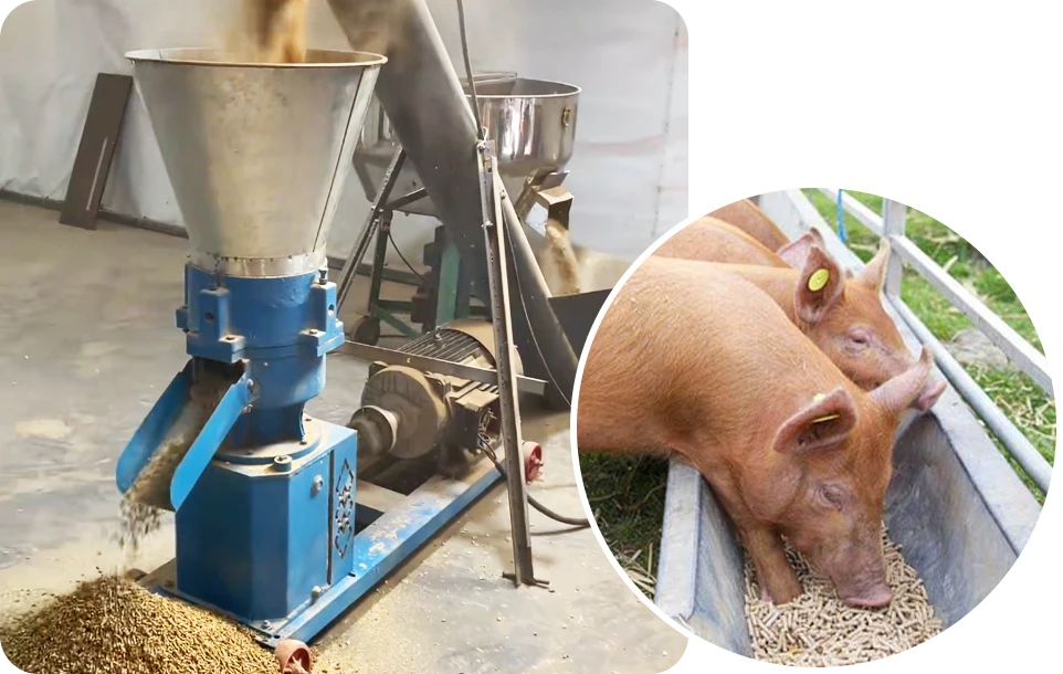 advantages of this small pig feed line