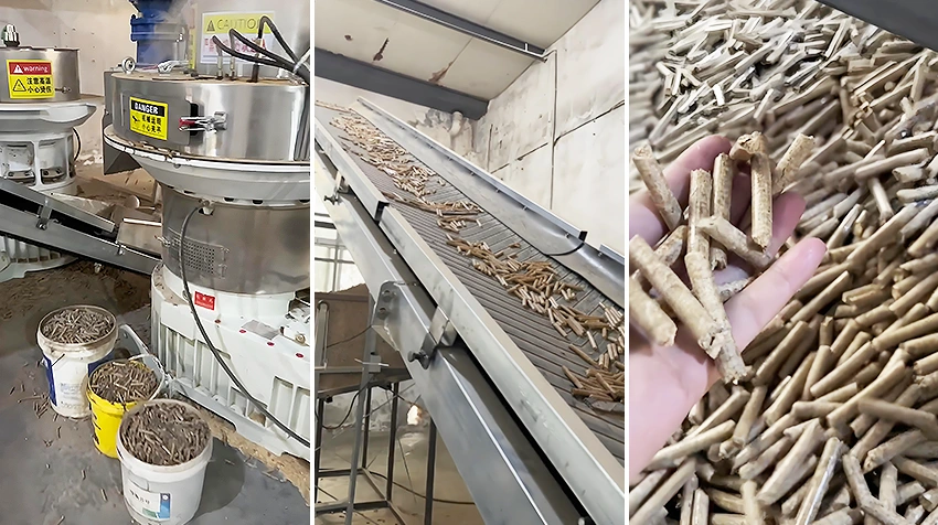 bangladesh biomass pellet production line