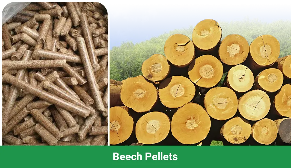 beech pellets