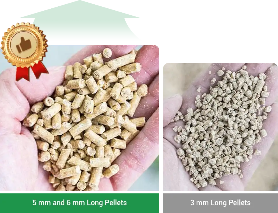 best feed size for grower and finisher stage