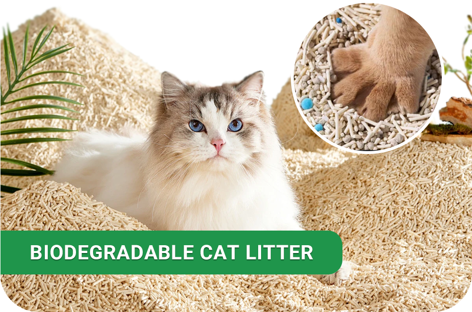 biodegradable cat litter