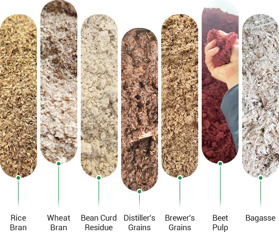 by-product feed for meat