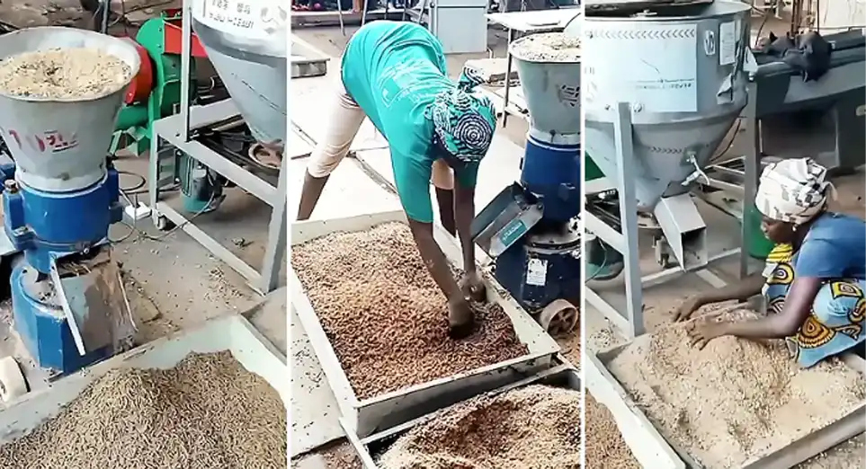 small feed processing site in uganda