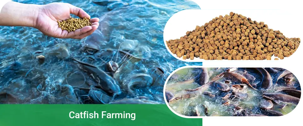 catfish feed pellets
