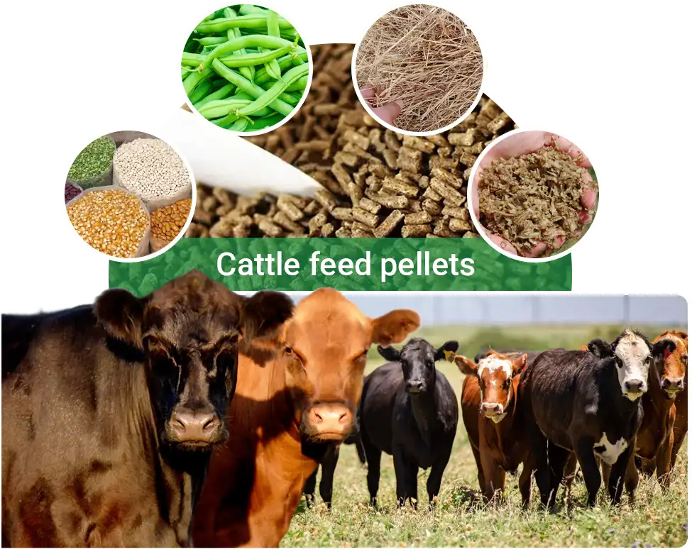 cattle feed pellets