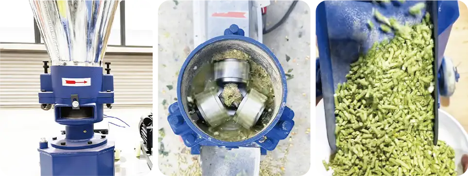 check die rotation direction