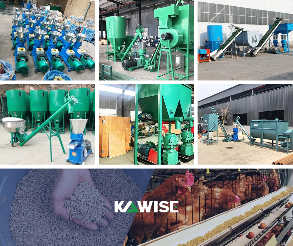 chicken feed pellet production equipment