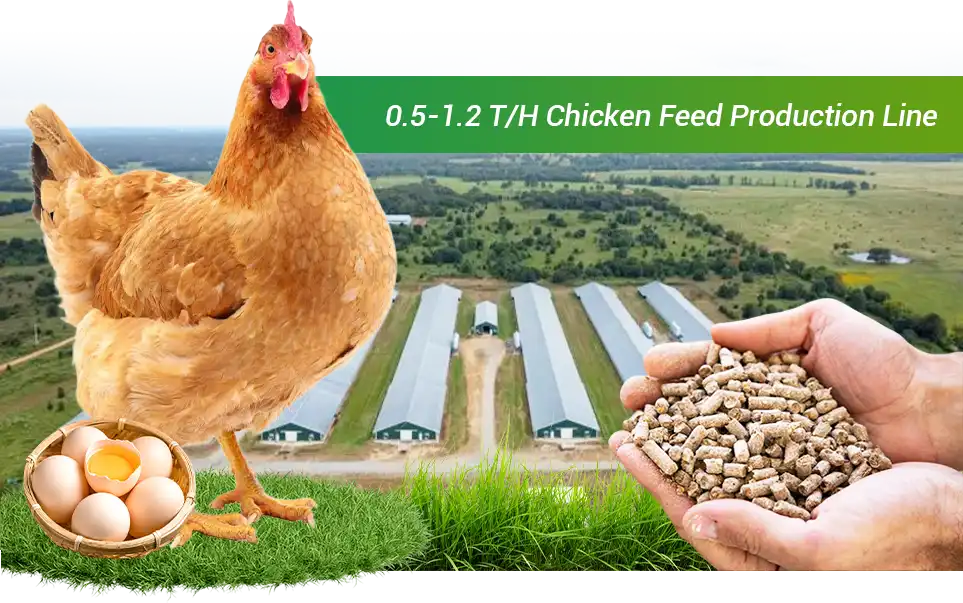 chicken pellet feed complete production line