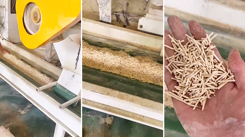 cat litter production line