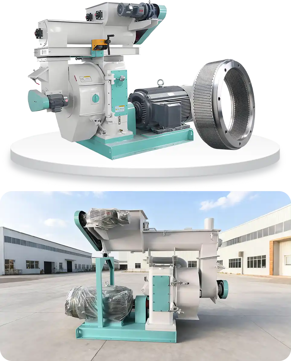 ring die feed pellet machine