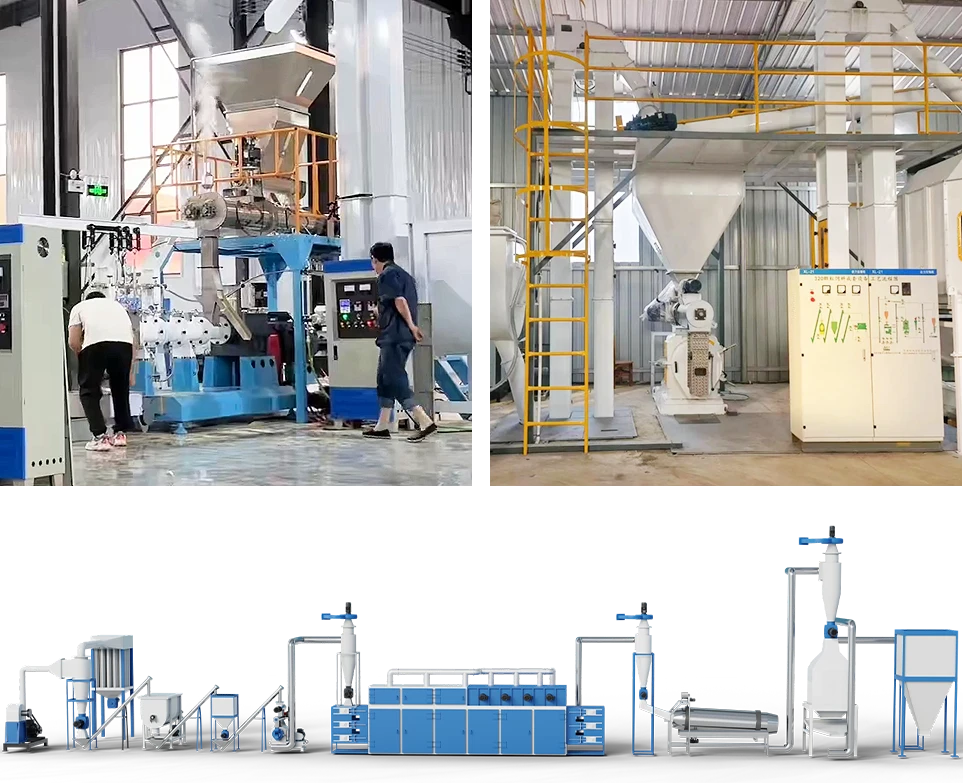 commercial shrimp feed production