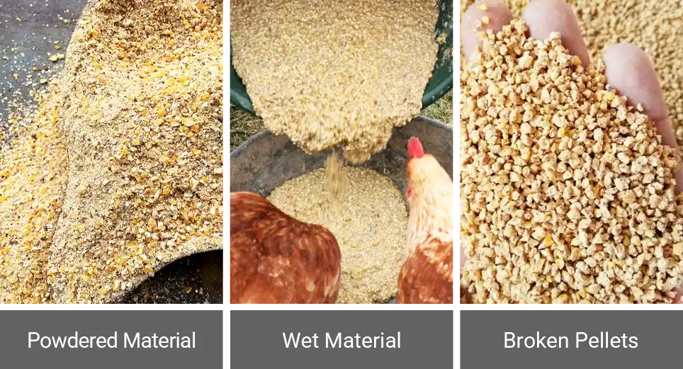 common broiler feed types